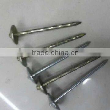 Roofing Nail photo-4