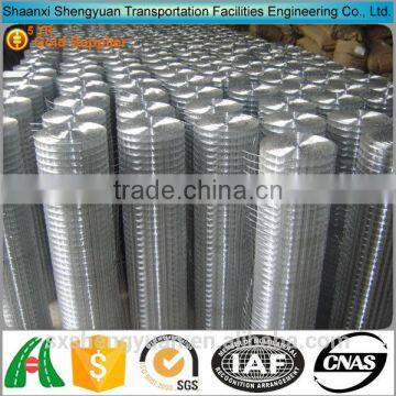 Hot sale 2x2 galvanized welded wire mesh for fence panel