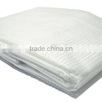 Heavy Duty pe Tarpaulin , Leno Tarpaulin Canvas Car Shelter photo-3