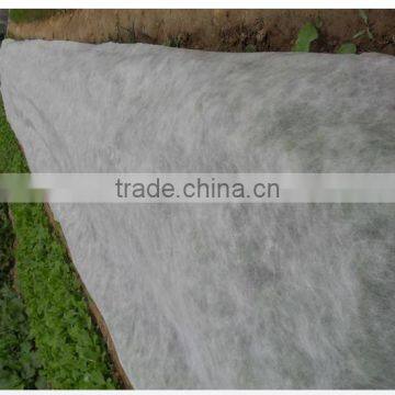 Agriculture nonwoven cover Fabric for ground cover