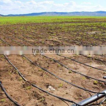 PE Material Drip Hose photo-2