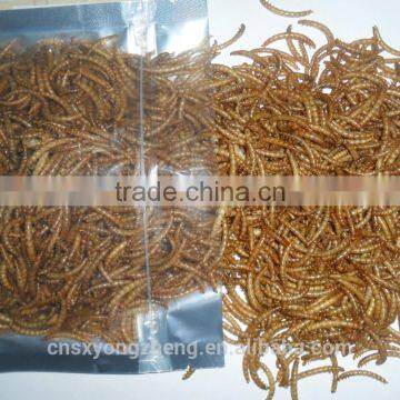 Insect Protein Bird Food Dried Mealworms photo-2