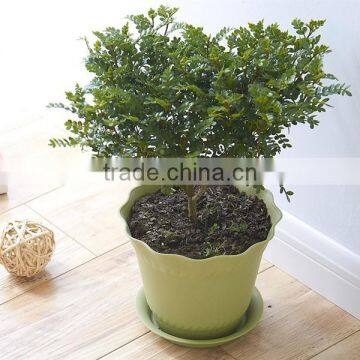 Fashional Design Lotus Shaped Plastic Plant Flower Pot Which Has 6 Kinds of Colors photo-4