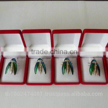 2014 Hot Sale Natural Beetle Brooches photo-3
