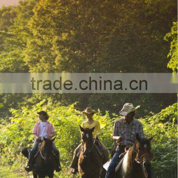 Niseko Real Estate , Property , Land in Japan for Sale , Resort Land photo-4