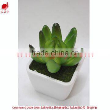 Wholesale Artificial Mini Succulent Plant Artificial Small Potted Plant photo-2
