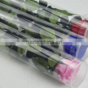 Preserved Real Flowers Natural Fresh Rose With Stem photo-4