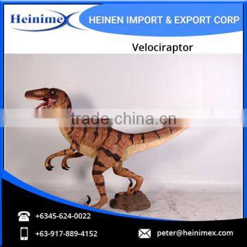 Realistic Dinosaur Velociraptor for Sale photo-6