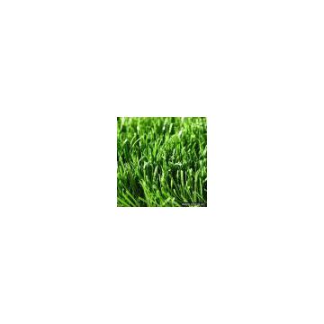 Sell Landscaping Artificial Lawn