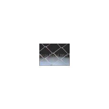 Electro Galvanized Chain Link Netting photo-3