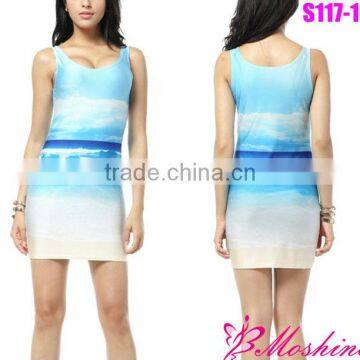 Cheap 2013 New Women's Digital Print Dress Blue Calm Sea Package Hip Dress