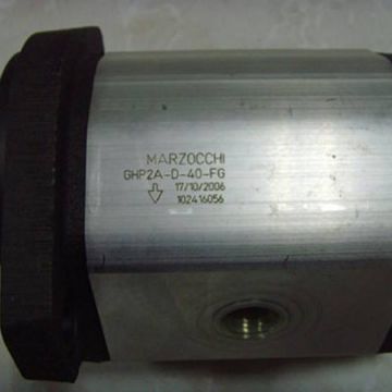 Ghp2bk1-d-25-t4-t Marzocchi Ghp Hydraulic Gear Pump Cast / Steel 500 - 3000 R/min