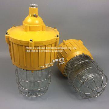 Integrated Explosion-proof Lamp Explosion-proof Bend Lamp 175W Explosion-proof Metal Halide Lamp Ccd92-l175b1z photo-4