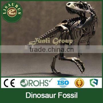 Lisaurus-0852 Display dinosaur skeleton mould model for sale