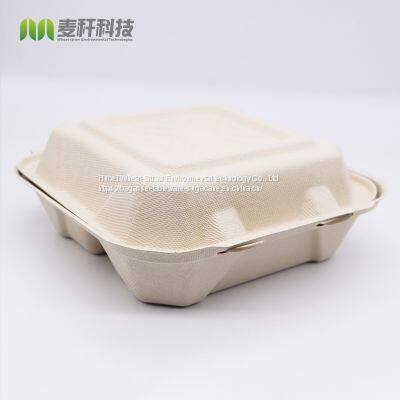 Disposable Biodegradable 9*9 3C Take Away Sugarcane Container photo-2
