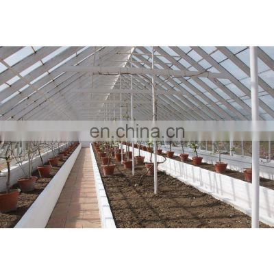 new style large glass agricultural greenhouses for industrial used