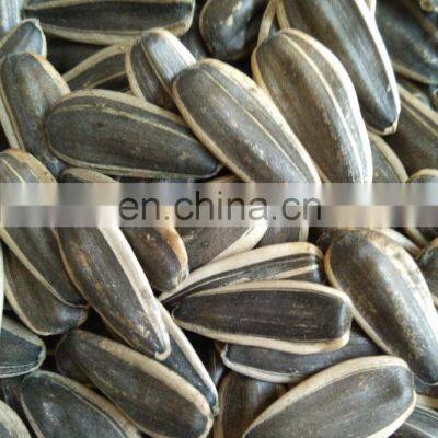Wholesale Cha Cha Roasted Sunflower Seeds Snacks Peeled Best Quality Inner Mongolian Sunflower Kernel Crop 2020 From CN photo-5
