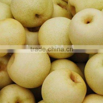 Chinese Golden Pears