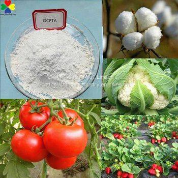 Agrochemicals Dcpta for Plant Rooting Dcpta 98TC CAS 65202-07-5 photo-3