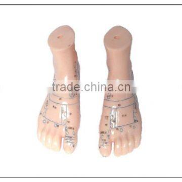 Foot Acupuncture model 26cm