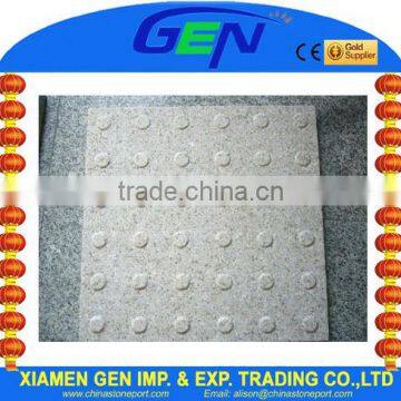 Granite Road Blind Paving Stone
