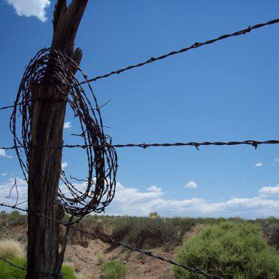 Wholesales Fencing Hot Dipped Galvanized Barbed Wire photo-4