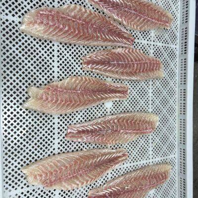 Red Drum Fillet