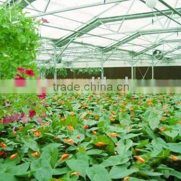 polycarbonate sheet for greenhouse