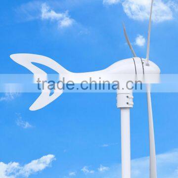 300w Selling Small Wind Genration Equipment /wind Solar Hydro Controller /wind Power Products photo-4