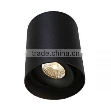 Make in China 2015 New Design AdjustableI Dimmable Led Pendant Light With HEP Driver, Cob Led Pendant Light