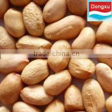 organic groundnut kernels baisha 40/50