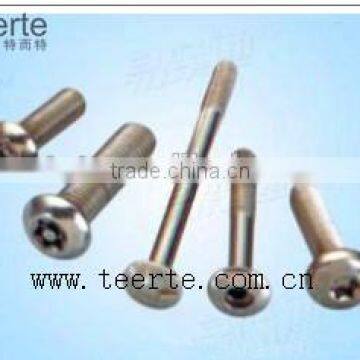 stainless steel anti-theft screw