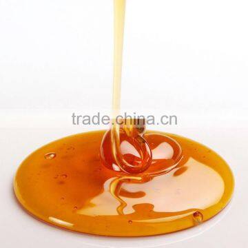 sale Clover nature Honey in Bulk from factory good service