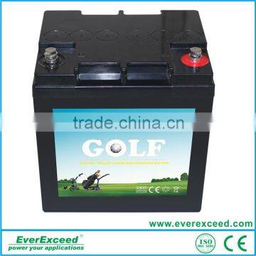 EverExceed high quality 12V golf lithium battery for golf cart                        
                                                Quality Choice