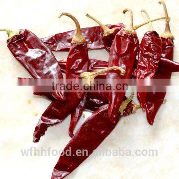 Chinese Dry Red Chili for Wholesale photo-2