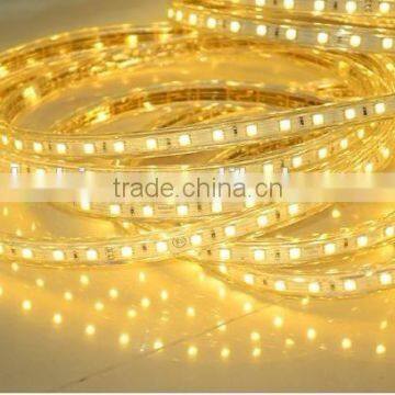 Best price 60LED/M 3528 12V Flexible LED Strip