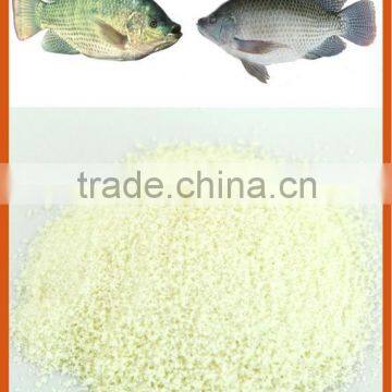 fish gelatin