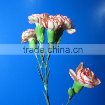 Most popular promotional flowers bouquet carnation