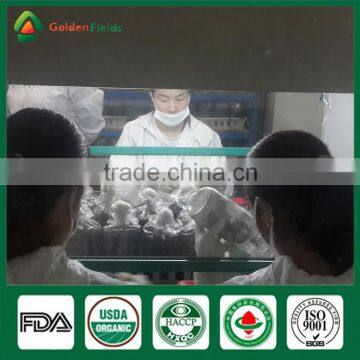 Wholesale China Supplier of Health Food Mushroom Edibal Fungus Fresh Dried Shiitake Mushroom for Garden Farm Restaurant photo-5