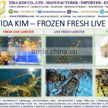 ALIVE FRESH FROZEN LOBSTER SHRIMP FISH TIDA KIM WHOLE BABY OCTOPUS SURIMI ITOYORI MIXED KINTOKIDAI VIETNAM MANUFACTURER