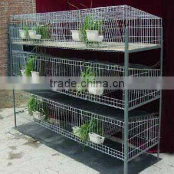 Anping bird cage wire mesh(factory)