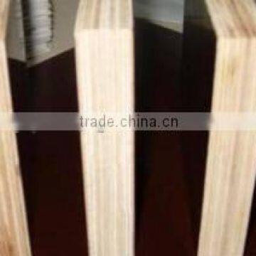 12mm Melamine Glue Finger Jointed Film Faced Plywood from Shandong