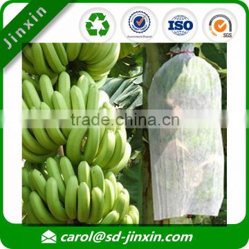 Wholesale Disposable Fruit Protection Bag