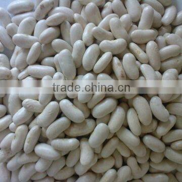 we are supply Medium white kidney beans with good quality for sale