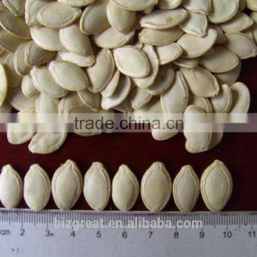 Raw Shin Skin Pumpkin Seeds for Sale photo-2