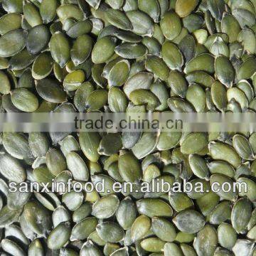 Dark Green Pumpkin Seeds GWS AA