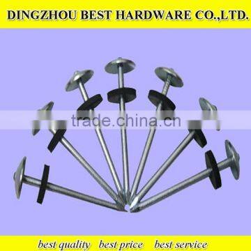 Umbrella Head Roofing Nail photo-2