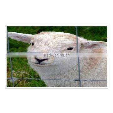 Grassland Fences photo-4