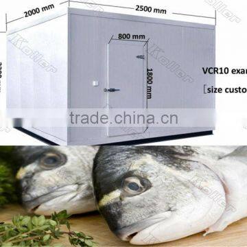 Walk in Koller Freezer Cold Room for Fishery photo-2