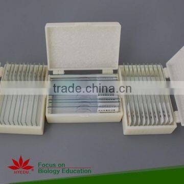 Fungi slides for teaching slides set